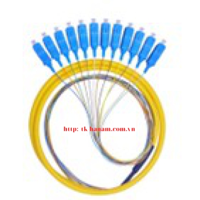 Dây nhảy quang (Patch Cord) - Dây nối quang (Pigtail)