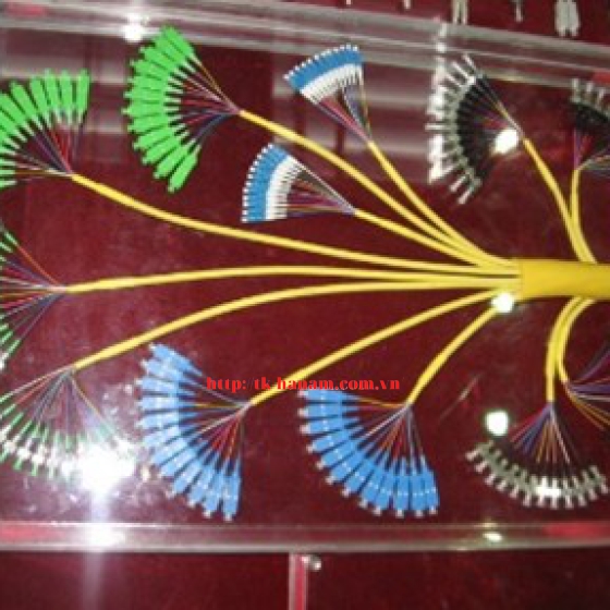 Dây nhảy quang (Patch Cord) - Dây nối quang (Pigtail)
